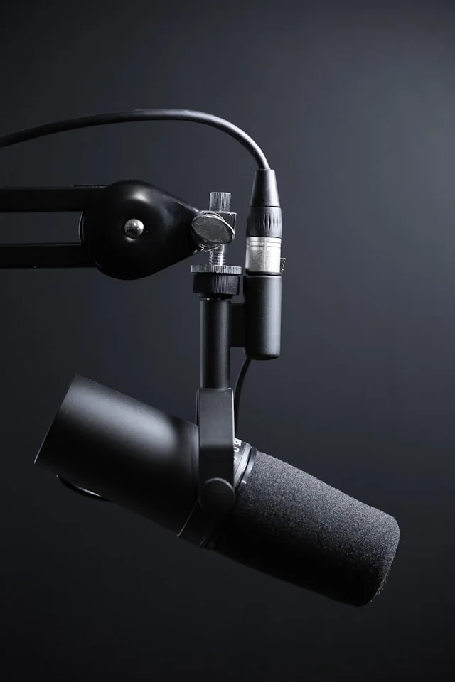 Studio microphone